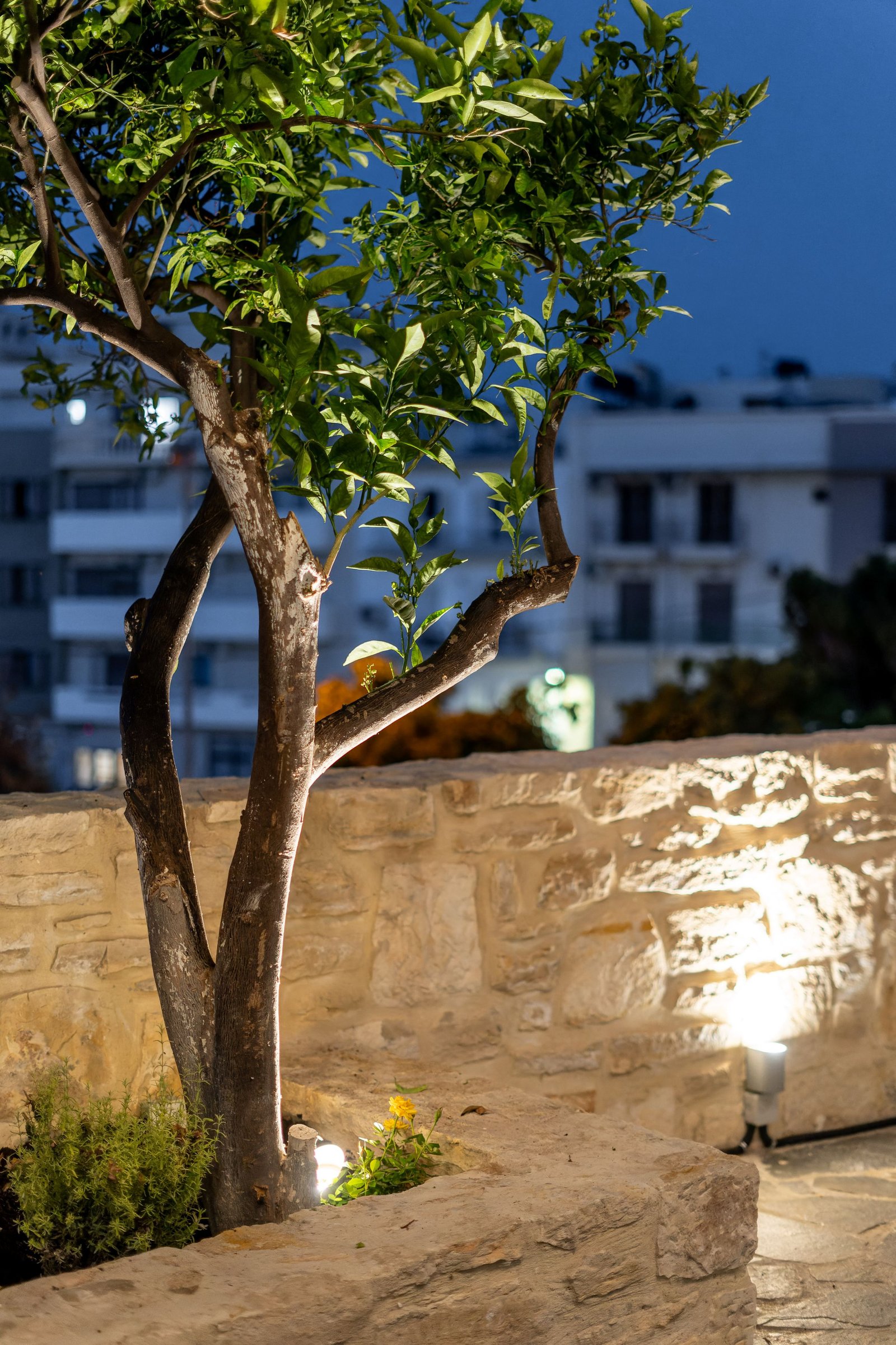 Night view - Photo 8
